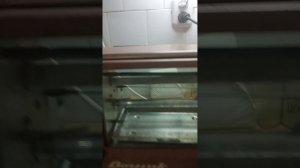 Электро шашлычница из СССР,Вогник