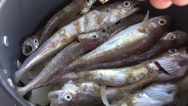 Загадки эзотерической картины молчания