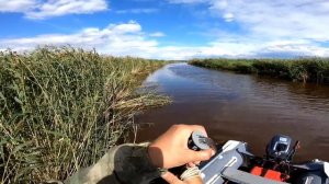 Кастинговая сеть американского типа  + эхолот и ванна сазанов за 20 минут ЁКЛМН Вот это рыбалка 202