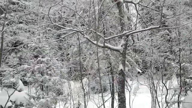 Черная скала. Таганай зимой. По местам силы. смотреть онлайн