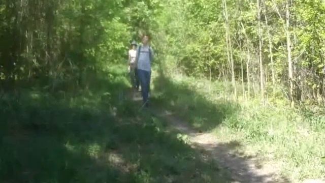 прогулка смотреть онлайн