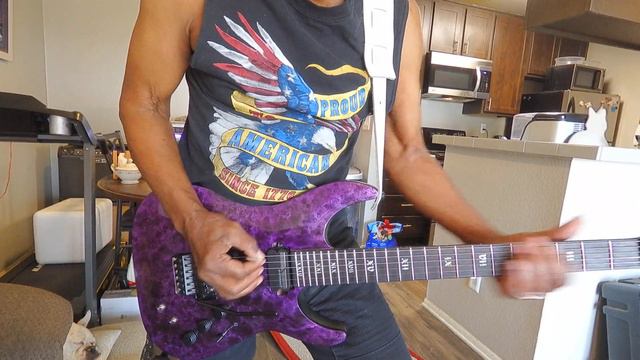 My Schecter Apocalypse Purple Reign Active C1 F/R/S смотреть онлайн