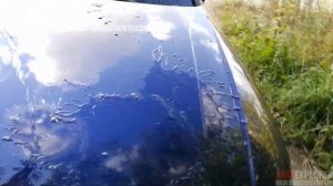 Чем удалить засохшие следы от насекомых после проезда по трассе