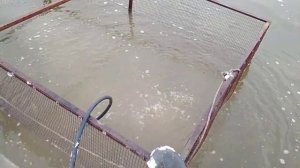 аэратор воздуха для пруда из компрессора от холодильника