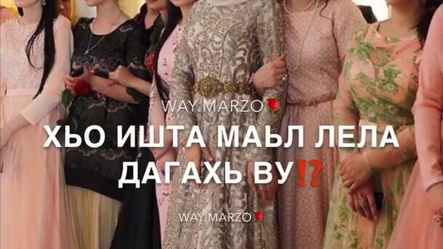 Айна Гетагазова-Зуд йолчу к1анте смотреть онлайн