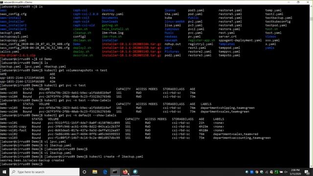 IBM Spectrum Protect Plus 10.1.6 - K8S backup, restore, reports - Demo смотреть онлайн