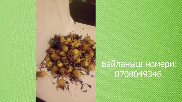 Көз оорусуна дары болчу СЫЯ ГҮЛ смотреть онлайн