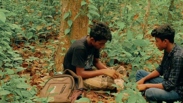 Tiger Attack Man in Forest | Royal Bengal Tiger Attack Fun Made Movie part - 7 смотреть онлайн