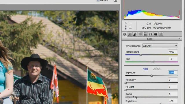 Adobe Camera RAW for Beginners: Histogram & White Balance смотреть онлайн