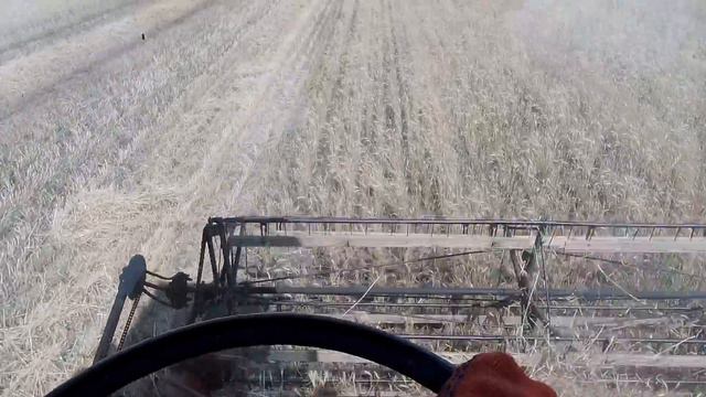 Нива СК 5 закончили косить озимую пшеницу смотреть онлайн