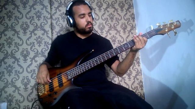 Opeth - The Twilight Is My Robe - Bass Cover смотреть онлайн