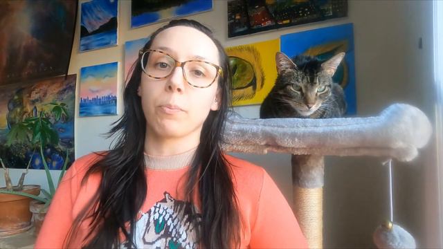 This one word on the cat food label changes everything смотреть онлайн
