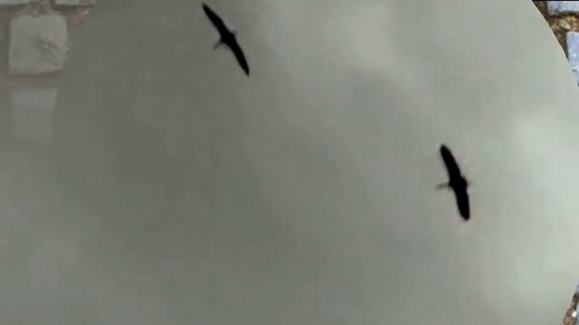 Людмила Зыкина Все горел огонек смотреть онлайн