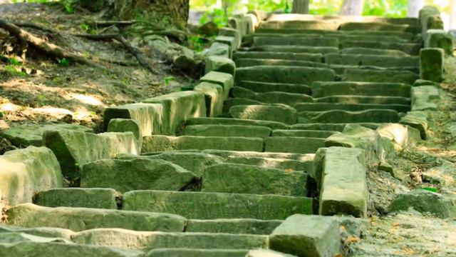 ТИ ЛЮБИ МЕНЕ смотреть онлайн