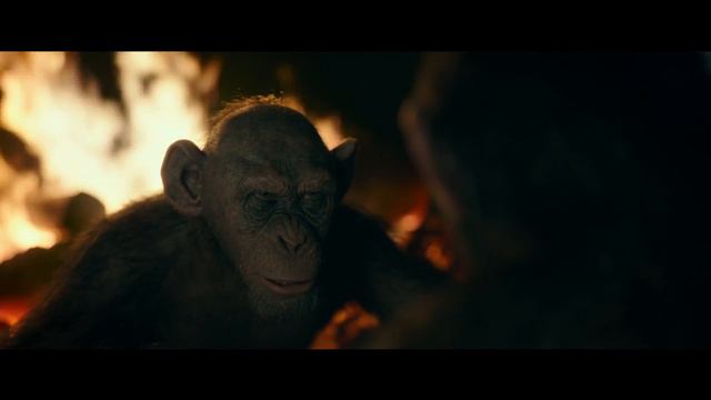 War for the Planet of the Apes | Clip "Meeting Bad Ape" | HD смотреть онлайн