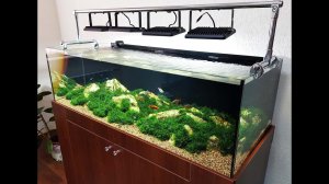 Октябрьские акваскейпы. В гостях у аквариумного клуба Три тонны