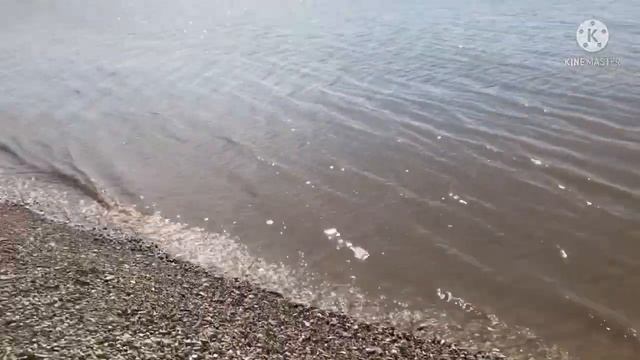 Жизнь в Англии/ прогулка у реки Хамбер/Humber bridge walk смотреть онлайн