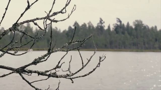 Где найду я страну Слова А. Стефанов Муз А.Костюк кавер Г Погорельская смотреть онлайн