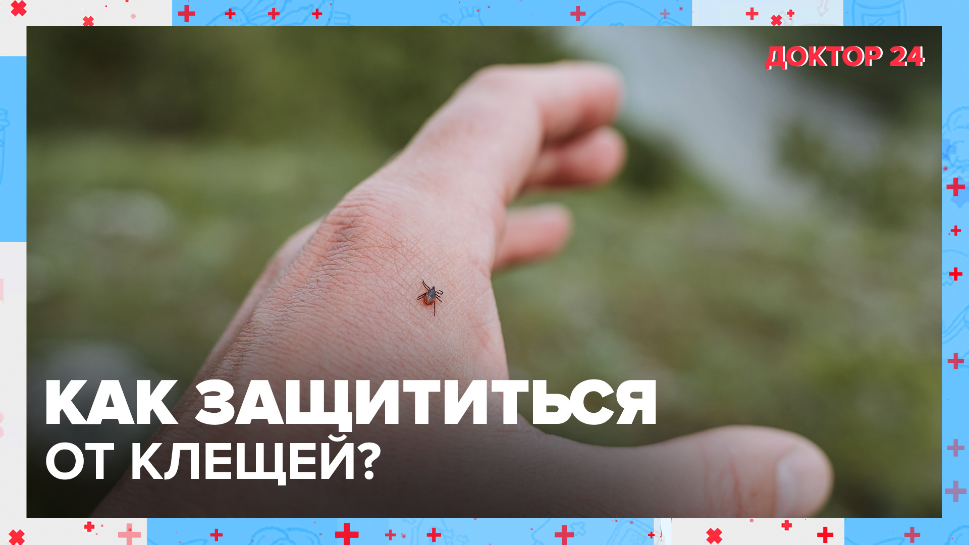 Как защититься от КЛЕЩЕЙ? | Доктор 24 смотреть онлайн