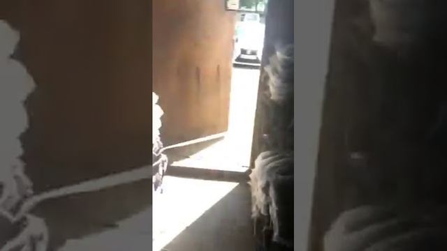 Полушерстяное одеяло 140 х 205 солдатское полуторное. смотреть онлайн