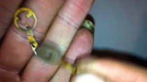 Разбор позистора СТ15-2