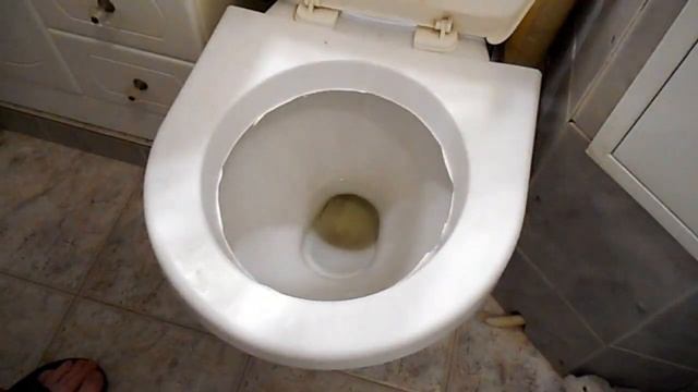 Как приучить кота ходить на унитаз видео 7 смотреть онлайн
