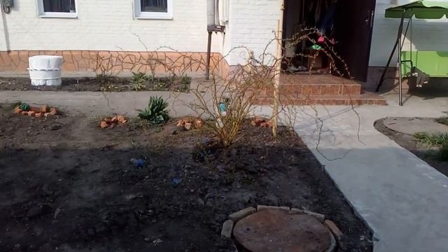 VLOG.FORD SIERRA1989 г.после 4 месяцев как купили обзор.Теплица замёрзли помидоры. смотреть онлайн