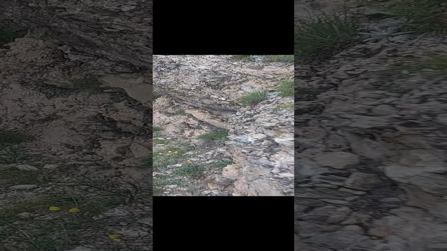 Путешествия и отдых. Республика Дагестан. Ахвахский район. Малоизвестные горы. 2023 год. смотреть онлайн