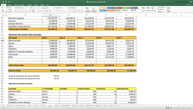 PROYECTO DE POLLOS DE ENGORDA - Inversiones, Egresos, Ingresos, Rentabilidad
