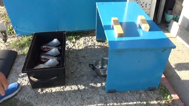 Вкусные закуски и салаты