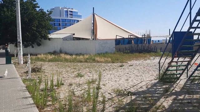 Одесса. ПРИШЛИ НА ПЛЯЖ ЧАЙКА! ЧТО ЗДЕСЬ ПРОИСХОДИТ! смотреть онлайн