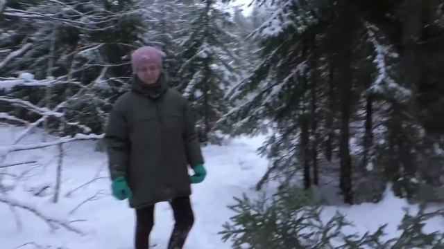 КАК ПОЛУЧИТЬ НОВОГОДНЮЮ ЕЛКУ БЕСПЛАТНО смотреть онлайн
