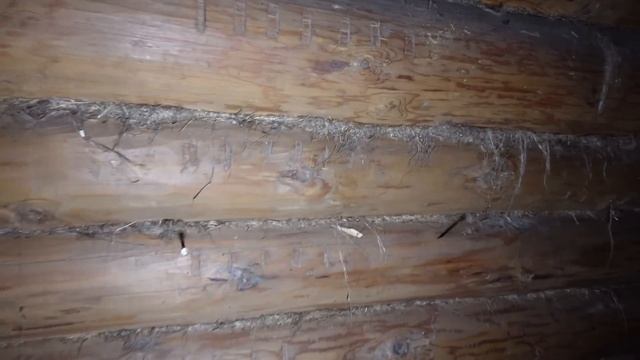 Дом в деревне Кокошилово смотреть онлайн