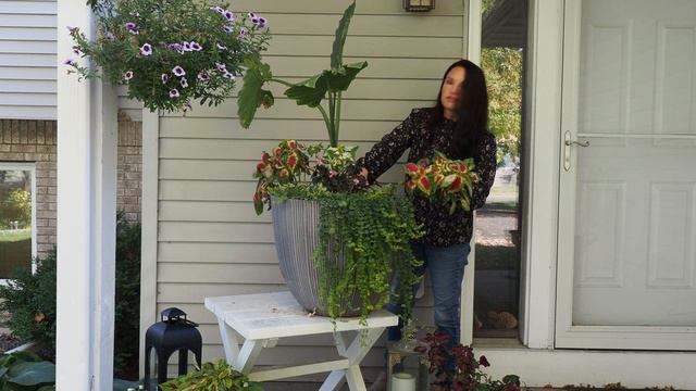Dry Fall Container with Hydrangea Blooms | & a Tip for Faded Mums | Serenity Now Garden смотреть онлайн