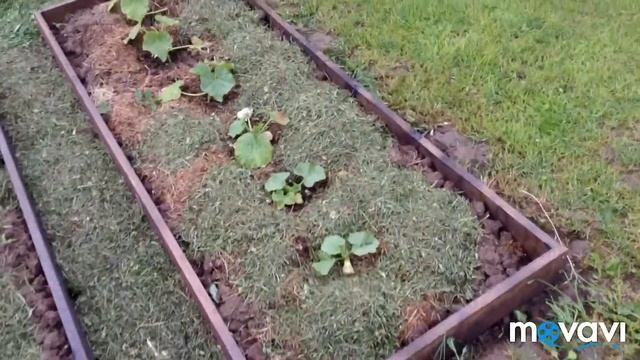 Дача.Идём за ивой. Скатерть. Синюха смотреть онлайн