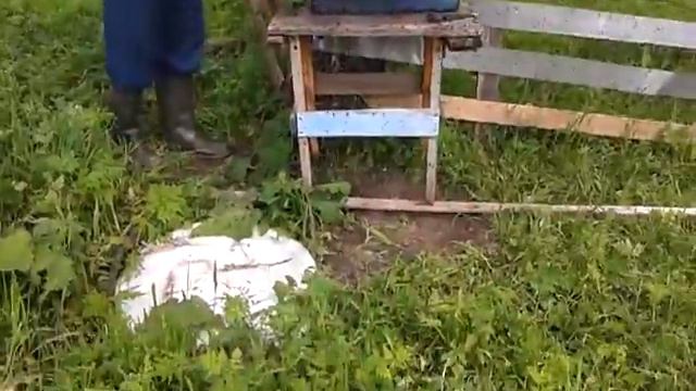 БЕРЁЗОВЫЕ РОЙ смотреть онлайн