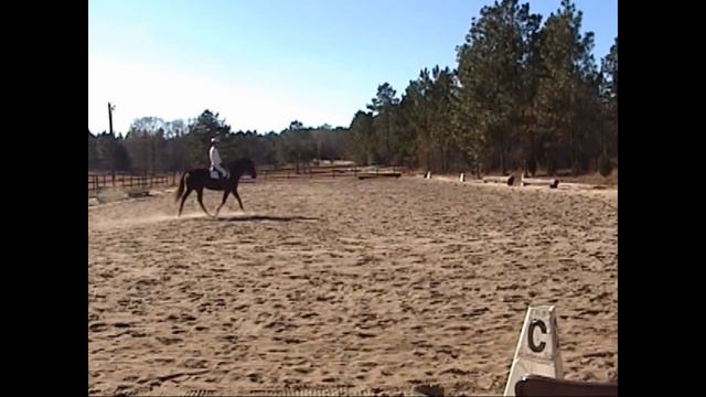 Dressage Clinic 12-2004