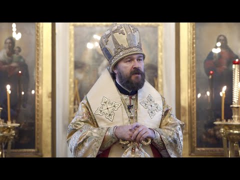 Когда мы носим Бога внутри себя? Проповедь митрополита Илариона 17.11.2019 смотреть онлайн