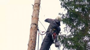 Арбористика. Способ перемещения по стволу дерева
