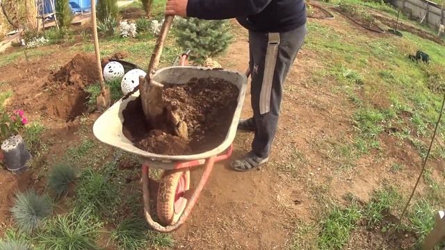 Как мы ЕЛЬ Мисти Блю сажали смотреть онлайн