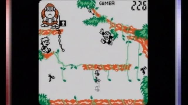 Game and Watch Gallery 3, Donkey Kong Jr. , Classic, Easy смотреть онлайн