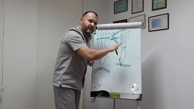 Поперечное плоскостопие. Боровской Евгений — врач ортопед-травматолог смотреть онлайн