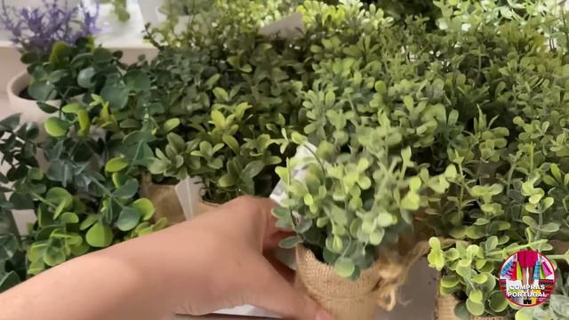 PRIMARK - O Que Comprar Com 2 Euros ? - Portugal смотреть онлайн