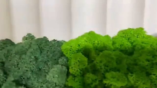 Стабилизированный мох в кашпо из дерева смотреть онлайн