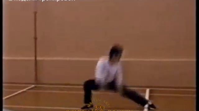 Индивидуальная подготовка за 2 недели тренировок с Валерием Николаевичем (2005) смотреть онлайн