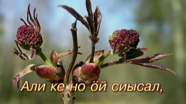 Удмурт караоке ( I ). Марлы тӥяй смотреть онлайн