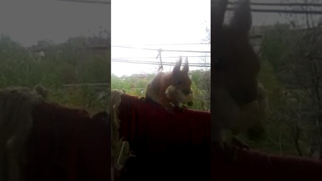 невешайте одеяло на балкон смотреть онлайн