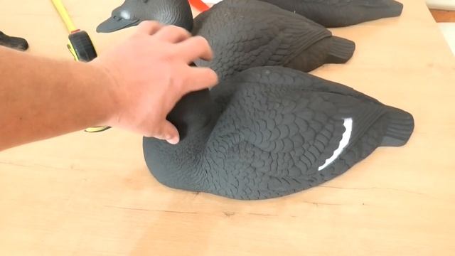 Чучела уток для охоты, новинки 2023. Турпан горбоносый размера магнум и морская чернеть. смотреть онлайн