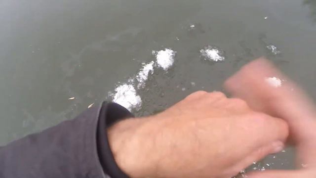 Ловля плотвы по первому льду на поплавок, видео rybachil.ru смотреть онлайн