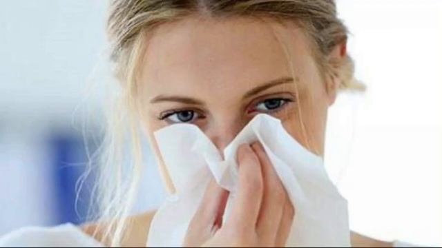 Домашний лекарь Алоэ Как лечиться СТОЛЕТНИКОМ.Целебные свойства.Доверяй Но проверяй смотреть онлайн